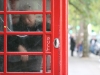bayswater-london
