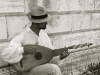 venicemusician
