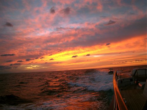 IMG_0042 IMG_0042