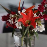 flowers from the garden flowers from the garden