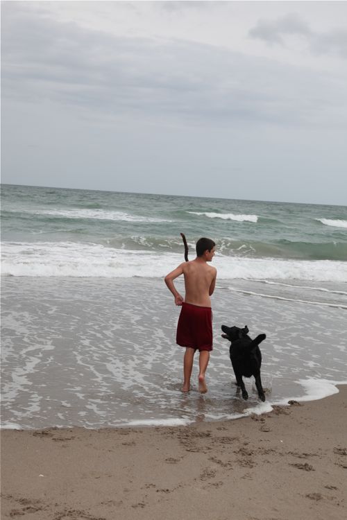 jensen beach a boy and his dog jensen beach a boy and his dog