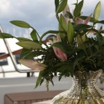 lilies