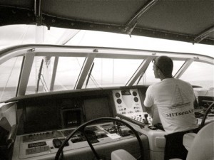 stephen on helm
