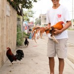noy puroy noy puroy