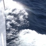 le mer