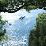 capri